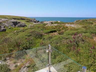 A coastal landscape with green vegetation and purple flowers and a glass railing overlooking the sea at Pant yr Hyman in Rhoscolyn