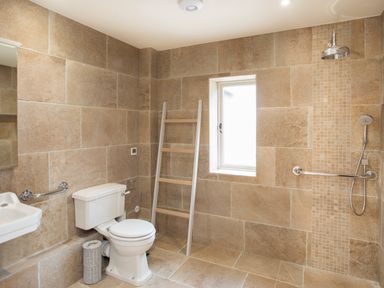 A bathroom with a toilet sink shower window and a ladder at Penrhyn Barn in Dulas