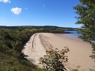 A sandy beach with surrounding greenery and a blue sky at Penrhyn Barn in Dulas