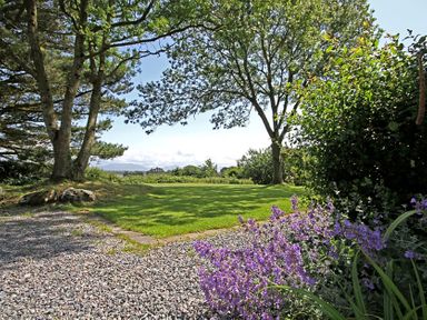 A garden with grass and purple flowers bordered by gravel and trees at Perth Hwfa in Malltraeth
