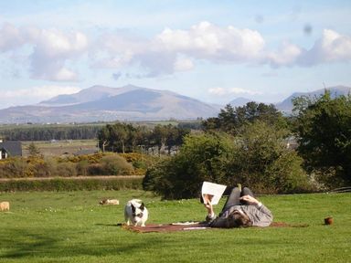 A person lying on a blanket reading with a dog on a grassy field with trees and mountains in the background at Perth Hwfa in Malltraeth