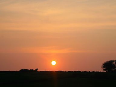 A sunset with the sun near the horizon and silhouettes of trees and fields at Perth Hwfa in Malltraeth