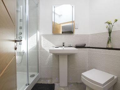 A bathroom with a shower enclosure a pedestal sink a wall-mounted mirror a toilet and a vase with flowers at Rhyd Angharad Barns in Rhydwyn