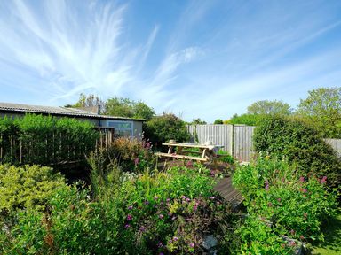A garden with various green plants and flowers a wooden picnic table and a fence at Seiriol View in Moelfre