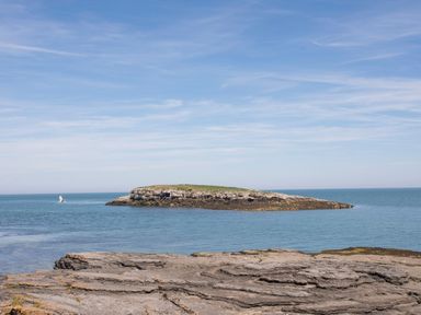 A rocky coastline with a small island in the sea and a seagull flying at Seiriol View in Moelfre