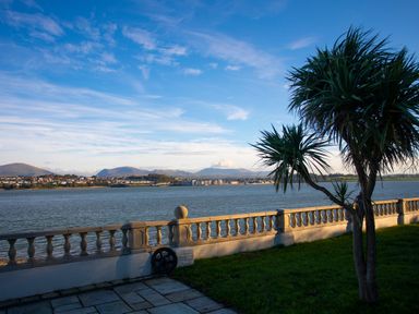 A waterfront view with a stone balustrade and a palm tree at The Mermaid in Brynsiencyn