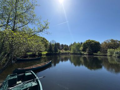 A small lake with boats and trees under a sunny sky at The Honey Pot in Garndolbenmaen