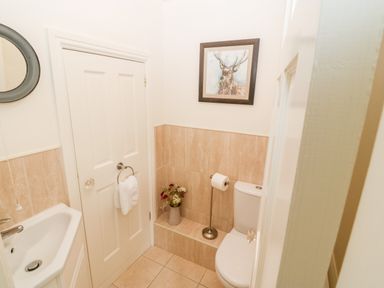 A small bathroom with a toilet a sink a towel ring and a framed picture of a deer at The Little Coach House in Garndolbenmaen