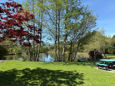 A grassy area with trees by a pond and picnic tables at The Little Coach House in Garndolbenmaen