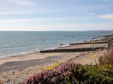 A beach with wooden groynes and flowers in the foreground at The Towers - Ardudwy in Criccieth