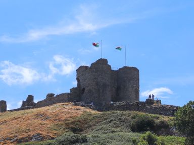 Castle ruins with two flags on top of a hill with grass and bushes at The Towers - Castell in Criccieth