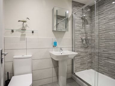 A bathroom with toilet pedestal sink glass shower and decorative bird figure at The Pot Loft in Benllech