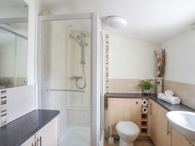 A bathroom with a shower, toilet, sink, cabinets, and decorative plants at Tyn Towyn - Bwthyn Carreg in Trearddur Bay