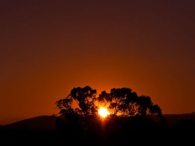 A sunset with the sun setting behind trees and hills at Tyddyn Morthwyl in Criccieth
