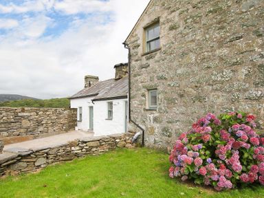 Stone cottage with white painted extension a stone wall and a flowering bush on green grass at Ty Mawr Porthmadog in Porthmadog