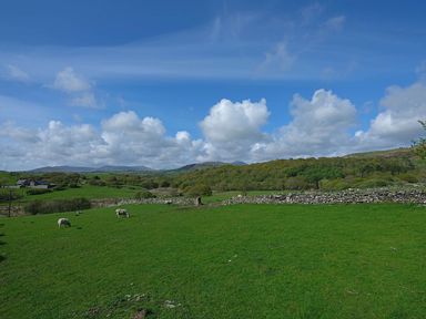 A green field with grazing sheep and stone walls with hills and clouds in the background at Ty Mawr Porthmadog in Porthmadog