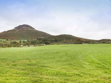 A grassy field with trees and hills in the background at Ty Mawr Porthmadog in Porthmadog