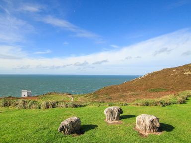 A coastal hill with grassy area and three stone sculptures of sheep near the sea at Ty Nant in South Stack