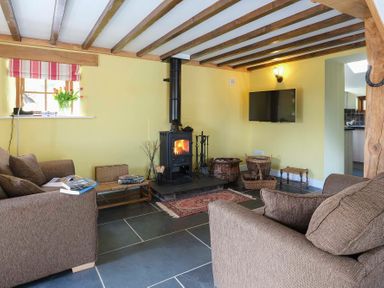 A living room with a wood burning stove two brown sofas and a wall mounted television at Tyn Llwyn Cornel in Beddgelert