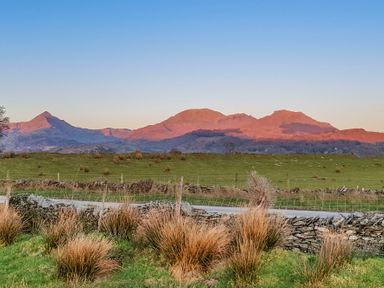 A grassy field with bushes and a stone wall with mountains in the background at Tyn Llwyn Cornel in Beddgelert