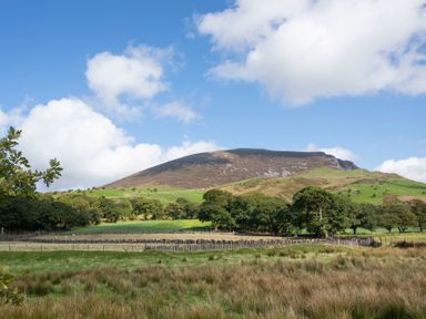A grassy field with trees and a wooden fence in front of a hill under a blue sky at 17 Victoria Terrace - Perthi in Nantlle