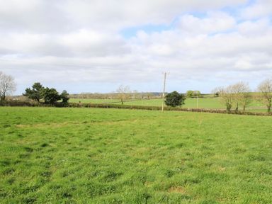 A green field with scattered trees electricity pole and a hedge under a cloudy sky at Mulberry Cottage in Pentraeth