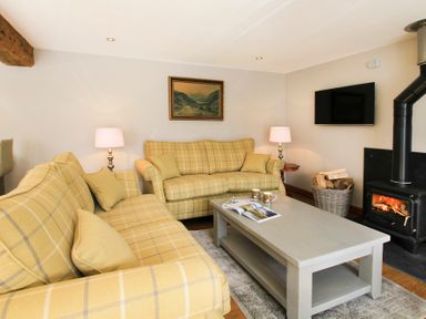 A living room with two yellow plaid sofas a coffee table a basket of firewood a wall-mounted television and a wood-burning stove at Mulberry Cottage in Pentraeth