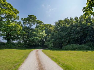 A curved gravel pathway surrounded by grass and trees at Mulberry Cottage in Pentraeth
