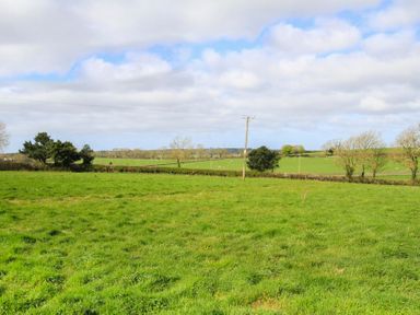A field with green grass and some trees under a cloudy sky at Partridge Cottage in Menai Bridge
