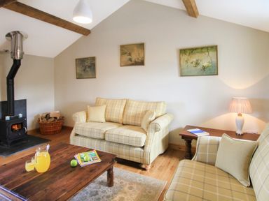 A living room with a wood stove and two checked sofas at Partridge Cottage in Menai Bridge