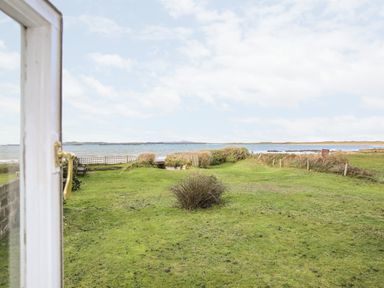 A grassy garden with a bush and benches near a body of water at Windygates in Rhosneigr