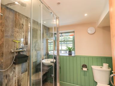 A bathroom with a glass shower enclosure a toilet a sink a window and a potted plant at Bonny Bits Cottage in Garrigill near Alston