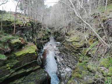 A narrow rocky gorge with a stream flowing through and leafless trees on mossy banks at Bonny Bits Cottage in Garrigill near Alston