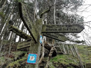 A wooden signpost with multiple directional signs in a wooded area at Bonny Bits Cottage in Garrigill near Alston