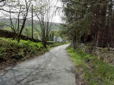 A narrow road lined with stone walls and trees leading to a white house at Bonny Bits Cottage in Garrigill near Alston