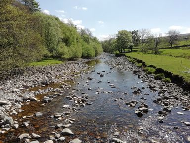 A shallow river with rocks and trees on both sides under a clear sky at Bonny Bits Cottage in Garrigill near Alston