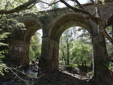 A stone arched bridge over a shallow rocky creek with trees around at Bonny Bits Cottage in Garrigill near Alston