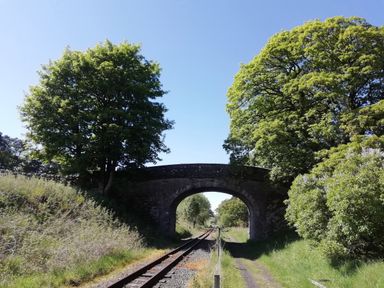 A stone arch bridge over railway tracks with trees and bushes on both sides at Bonny Bits Cottage in Garrigill near Alston