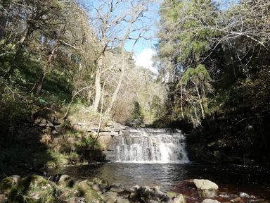 A waterfall with trees and rocks around a river at Bonny Bits Cottage in Garrigill near Alston