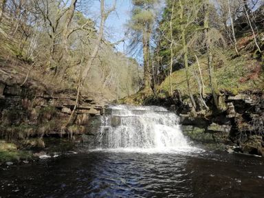 A waterfall flowing into a river surrounded by trees and rocky banks at Bonny Bits Cottage in Garrigill near Alston