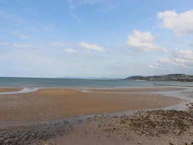 A beach with wet sand and rocks by the sea with a person and dog walking at Sea Breeze in Rhos-on-Sea