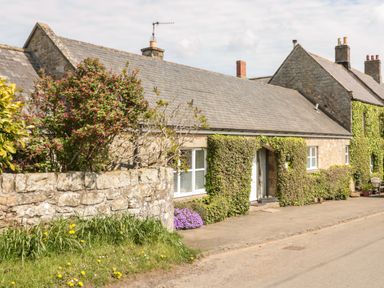 A stone cottage covered with ivy and plants beside a paved road at Forge Cottage in Rothbury