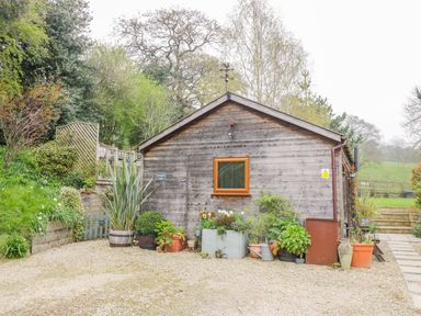 Exterior view of a wooden lodge with potted plants and a gravel driveway at Wellinghill Lodge in Cheltenham