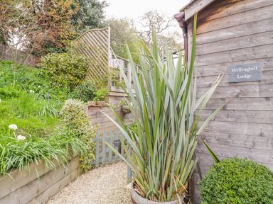 An exterior garden area with a wooden fence and gate plants and a wooden building with a sign saying Wellinghill Lodge in Cheltenham