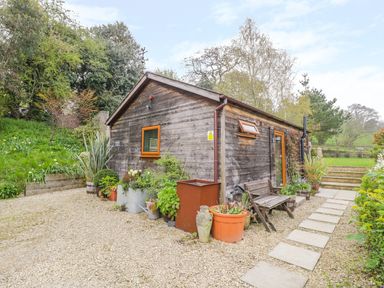 A gravel pathway and seating area outside a wooden garden shed with plants and trees surrounding at Wellinghill Lodge in Cheltenham