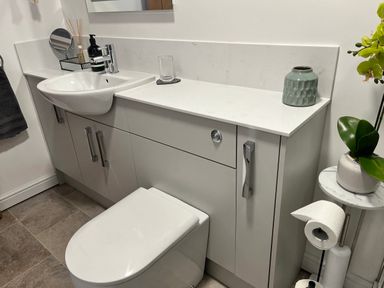 A bathroom with a white sink and toilet unit with storage cabinets and a side table holding a plant and toilet paper at Wellinghill Lodge in Cheltenham