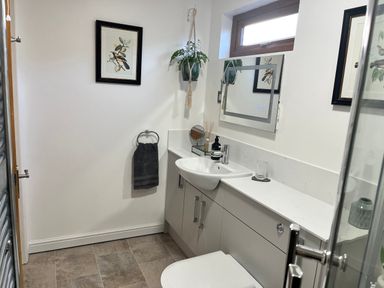 A bathroom with a sink, toilet, hanging plant, towel on a ring, wall art, and a mirror at Wellinghill Lodge in Cheltenham