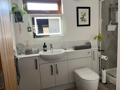A bathroom with a sink, toilet, shower, illuminated mirror, plants, and cabinets at Wellinghill Lodge in Cheltenham