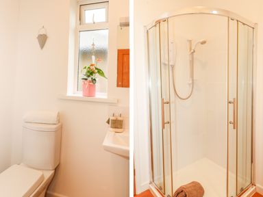 A bathroom with a toilet and potted plant on the windowsill and a shower cubicle with glass doors at Sunset in St Just