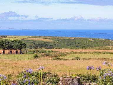 A field with purple flowers and bushes overlooking green hills and the sea at Sunset in St Just